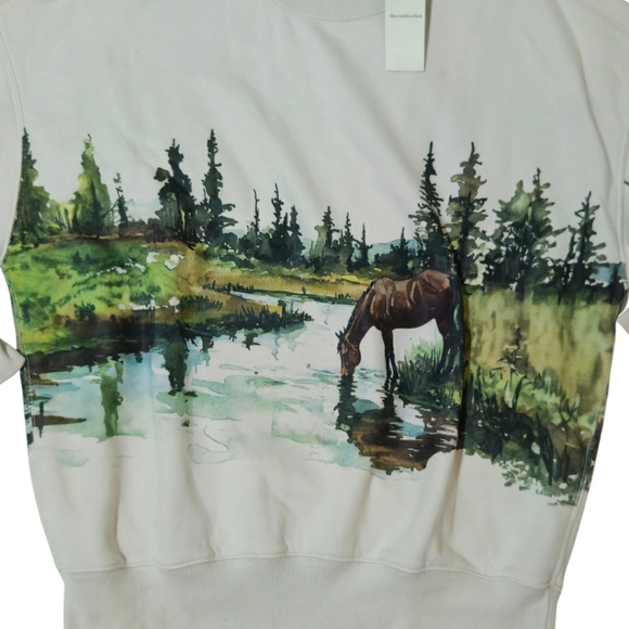 Abercrombie Horse Sunday Crewneck Sweatshirt Wildlife Graphic Oversized NWT🐎 - Picture 2 of 4